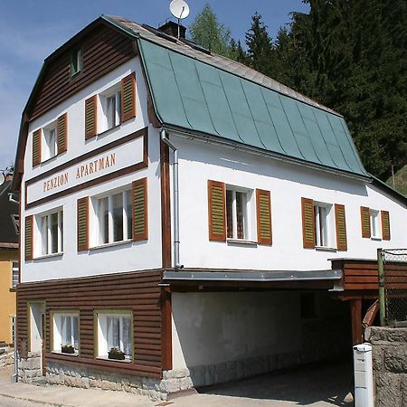 Penzion Apartman Janov Janov nad Nisou Luaran gambar